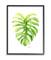 Stupell Industries Monstera Leaf Tropical Plant Over White in Black Frame Wall Art